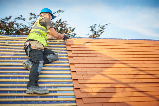 Best Roof Moss and Algae Removal  in East Merrimack, NH